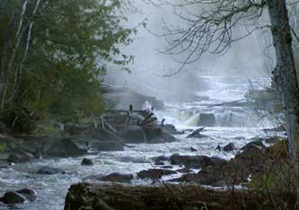 [the arrow river on a misty morning]
